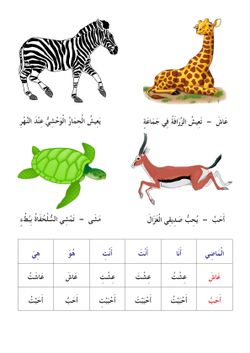 hilokal-notebook-image