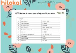 hilokal-notebook-image