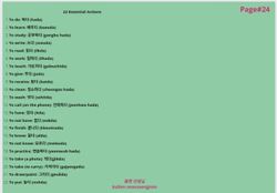 hilokal-notebook-image