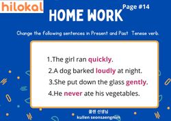 hilokal-notebook-image