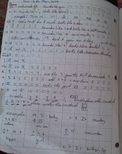 hilokal-notebook-image