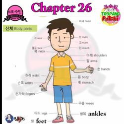 hilokal-notebook-image