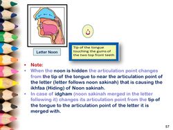 hilokal-notebook-image
