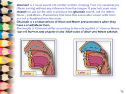 hilokal-notebook-image