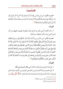 hilokal-notebook-image
