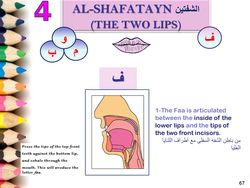 hilokal-notebook-image