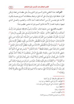 hilokal-notebook-image