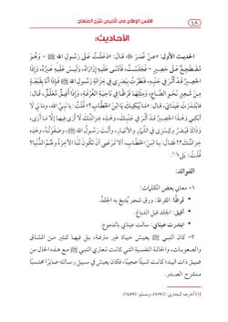 hilokal-notebook-image