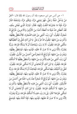 hilokal-notebook-image