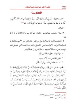 hilokal-notebook-image