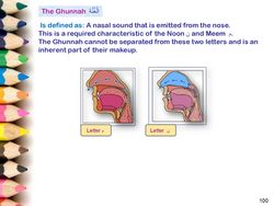 hilokal-notebook-image