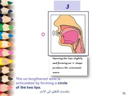 hilokal-notebook-image