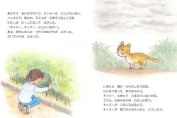 hilokal-notebook-image