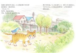 hilokal-notebook-image