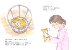 hilokal-notebook-image