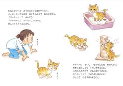 hilokal-notebook-image