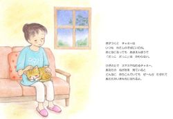 hilokal-notebook-image