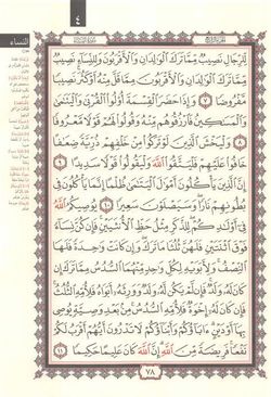 hilokal-notebook-image