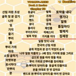 hilokal-notebook-image