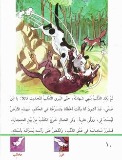 hilokal-notebook-image