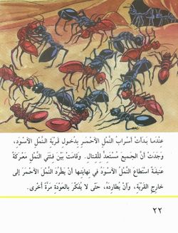 hilokal-notebook-image
