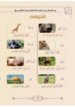 hilokal-notebook-image
