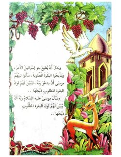 hilokal-notebook-image