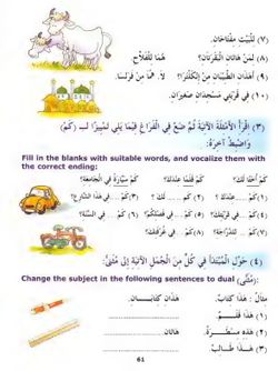 hilokal-notebook-image