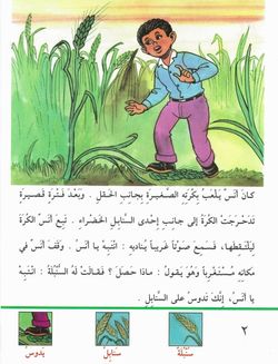 hilokal-notebook-image