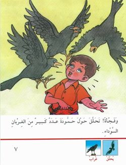 hilokal-notebook-image