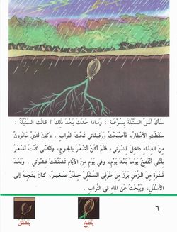 hilokal-notebook-image