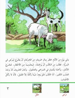 hilokal-notebook-image