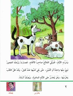 hilokal-notebook-image