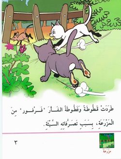 hilokal-notebook-image