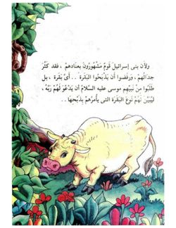 hilokal-notebook-image