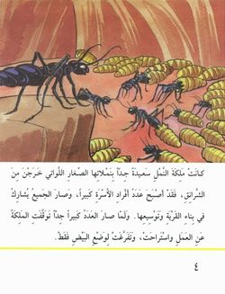 hilokal-notebook-image