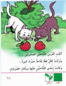 hilokal-notebook-image