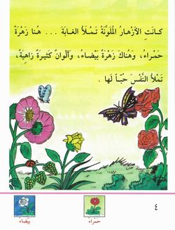 hilokal-notebook-image