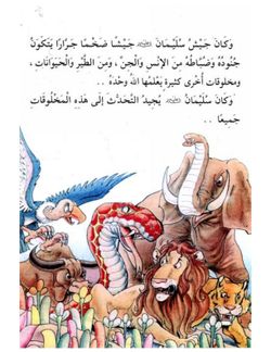 hilokal-notebook-image