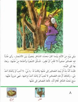 hilokal-notebook-image