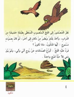 hilokal-notebook-image