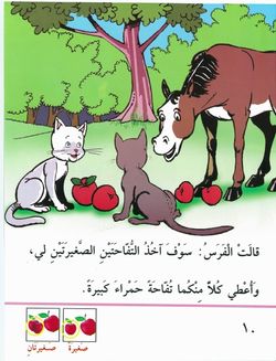hilokal-notebook-image