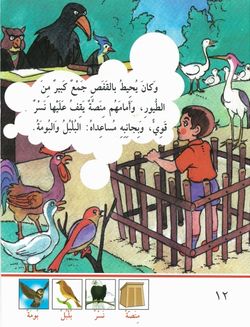 hilokal-notebook-image