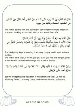 hilokal-notebook-image