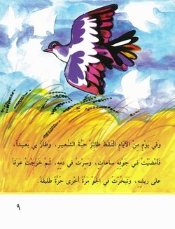 hilokal-notebook-image