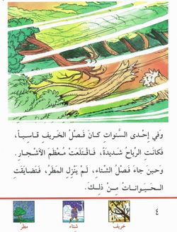 hilokal-notebook-image
