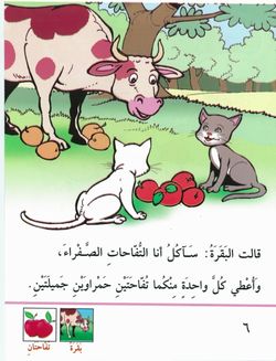 hilokal-notebook-image