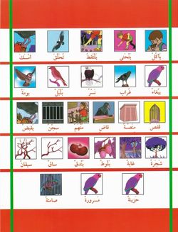 hilokal-notebook-image