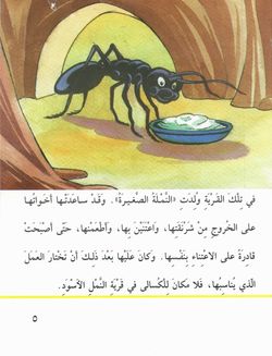 hilokal-notebook-image