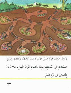 hilokal-notebook-image